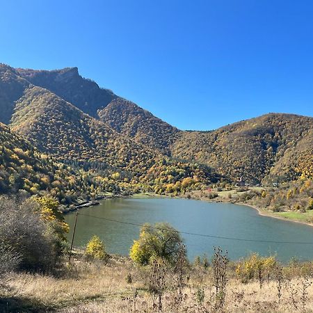 Gvirilas Sakhli Guest House Khashuri Exteriér fotografie